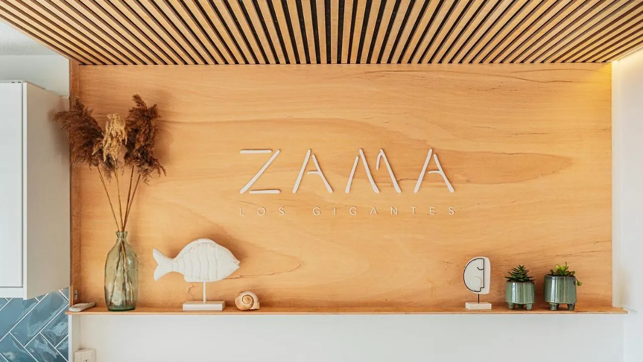 Zama Tamara - Swimming Pool - Ac Apartment Acantilado de los Gigantes Spain